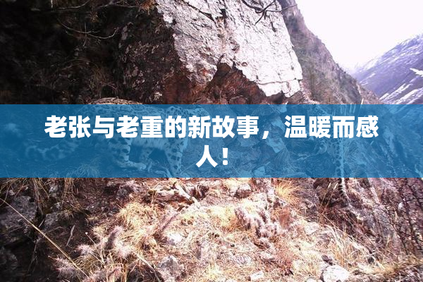 老张与老重的新故事，温暖而感人！