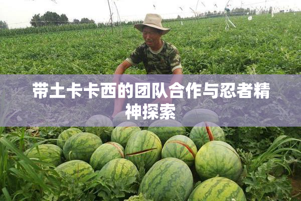 带土卡卡西的团队合作与忍者精神探索