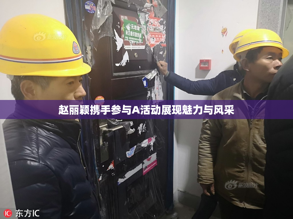 赵丽颖携手参与A活动展现魅力与风采