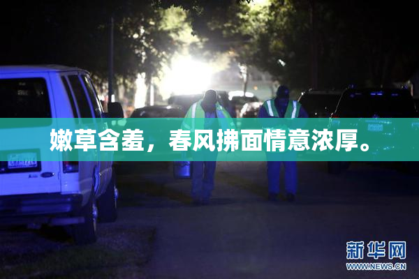 嫩草含羞，春风拂面情意浓厚。