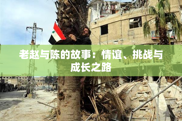 老赵与陈的故事：情谊、挑战与成长之路
