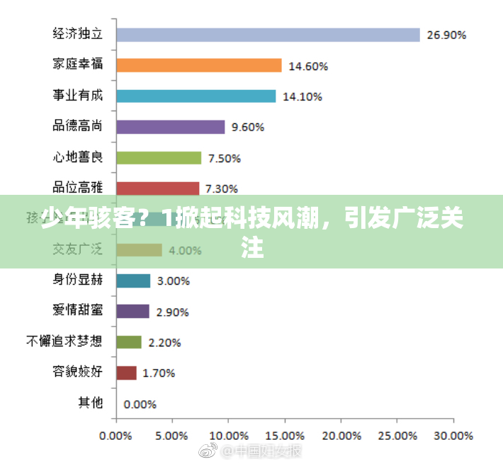少年骇客？1掀起科技风潮，引发广泛关注