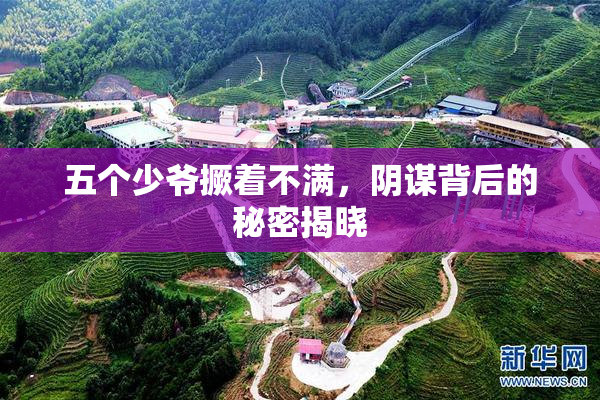 五个少爷撅着不满，阴谋背后的秘密揭晓