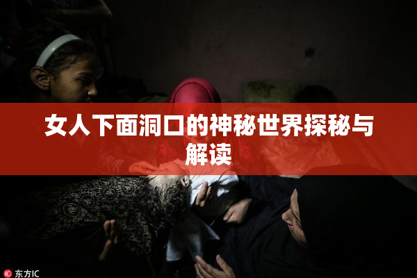女人下面洞口的神秘世界探秘与解读