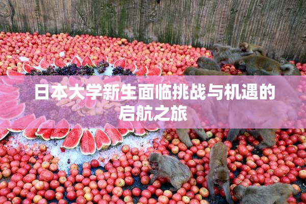 日本大学新生面临挑战与机遇的启航之旅