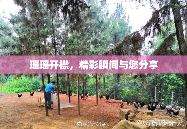 瑶瑶开襟，精彩瞬间与您分享