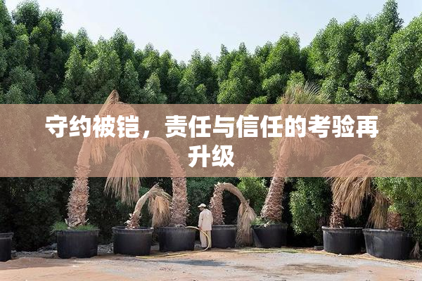 守约被铠，责任与信任的考验再升级