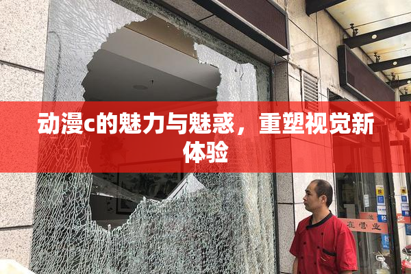 动漫c的魅力与魅惑，重塑视觉新体验