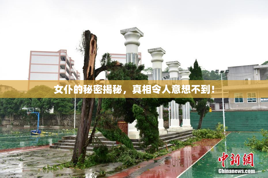 女仆的秘密揭秘，真相令人意想不到！