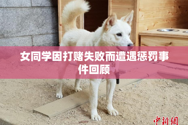 女同学因打赌失败而遭遇惩罚事件回顾
