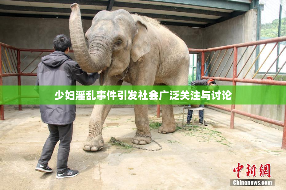 少妇淫乱事件引发社会广泛关注与讨论