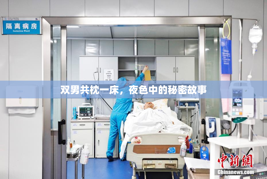 双男共枕一床，夜色中的秘密故事
