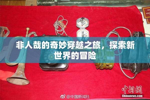 非人哉的奇妙穿越之旅，探索新世界的冒险