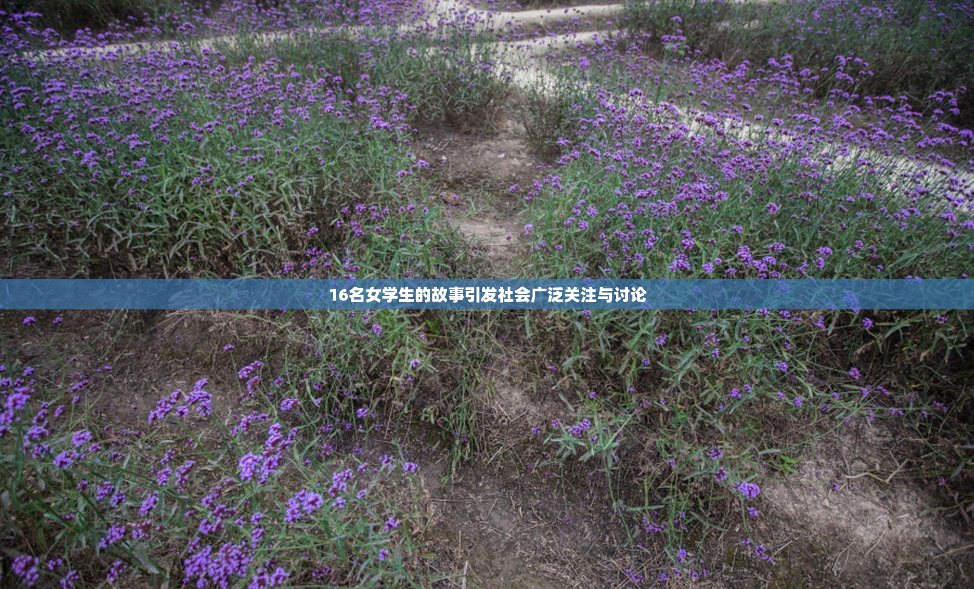 16名女学生的故事引发社会广泛关注与讨论
