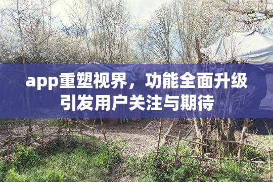app重塑视界，功能全面升级引发用户关注与期待
