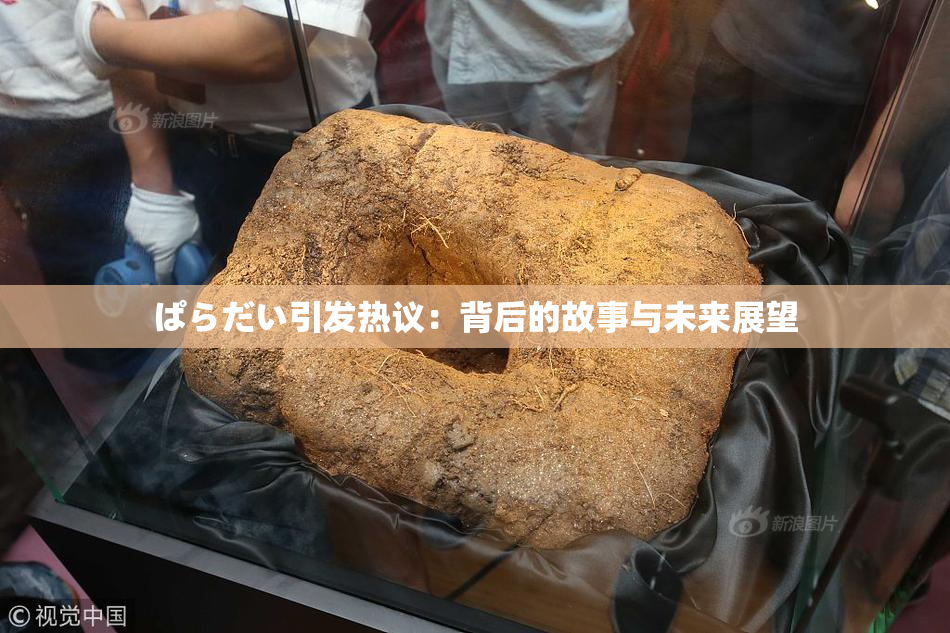 ぱらだい引发热议：背后的故事与未来展望