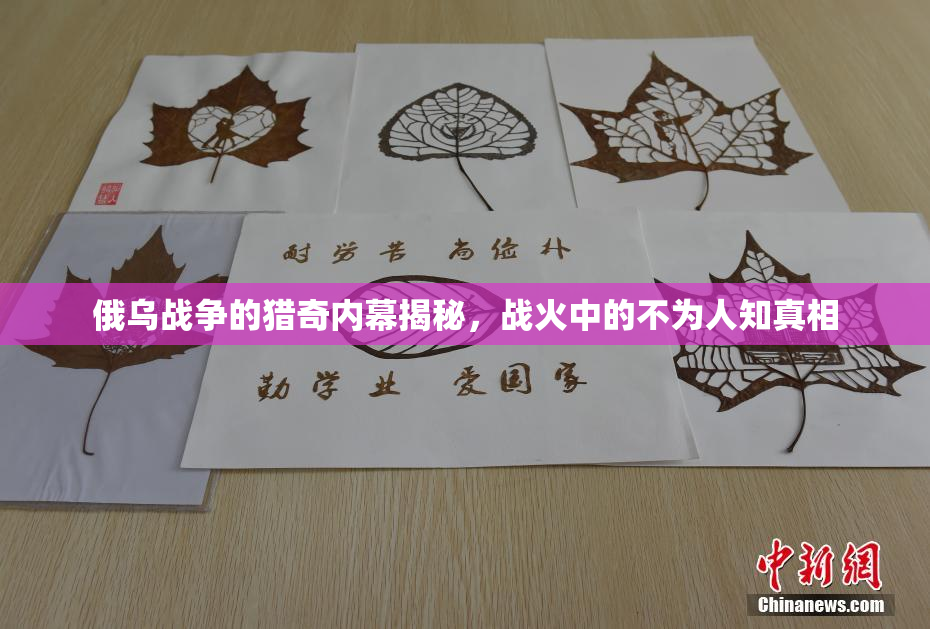 俄乌战争的猎奇内幕揭秘，战火中的不为人知真相
