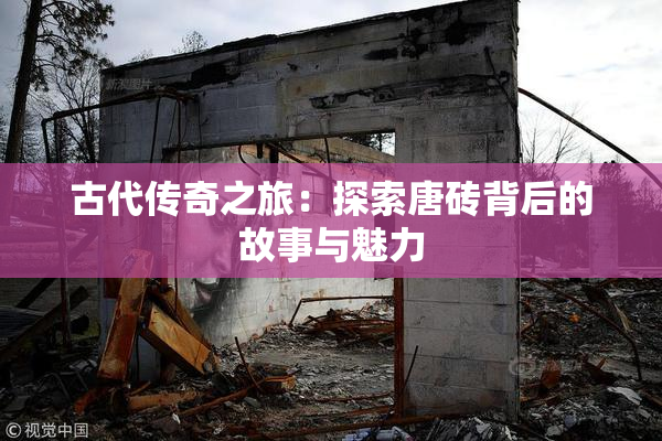 古代传奇之旅：探索唐砖背后的故事与魅力
