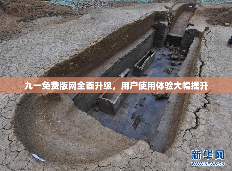 九一免费版网全面升级，用户使用体验大幅提升