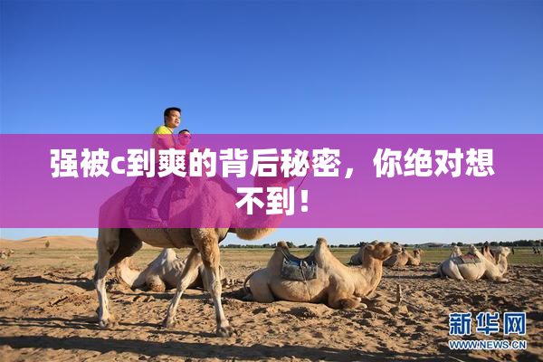 强被c到爽的背后秘密，你绝对想不到！