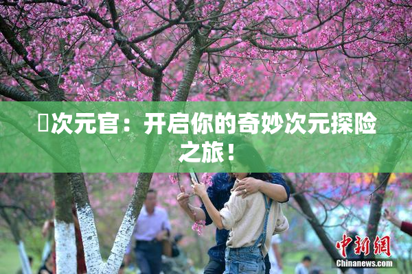 囧次元官：开启你的奇妙次元探险之旅！
