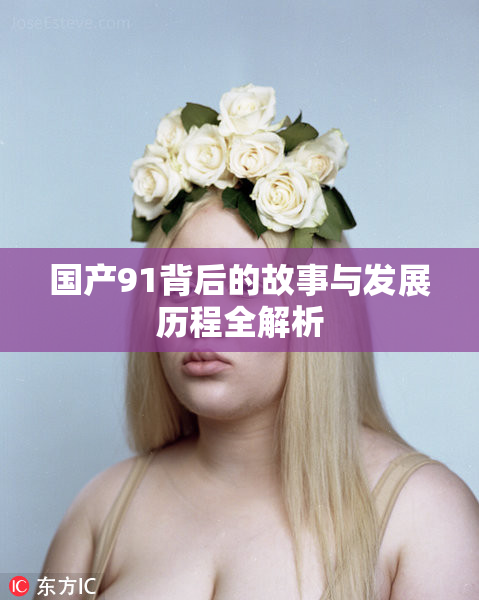 国产91背后的故事与发展历程全解析