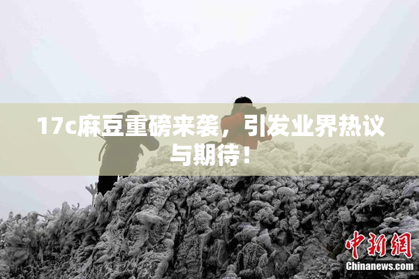 17c麻豆重磅来袭，引发业界热议与期待！