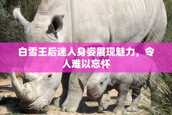 白雪王后迷人身姿展现魅力，令人难以忘怀