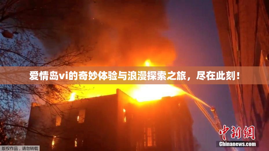 爱情岛vi的奇妙体验与浪漫探索之旅，尽在此刻！