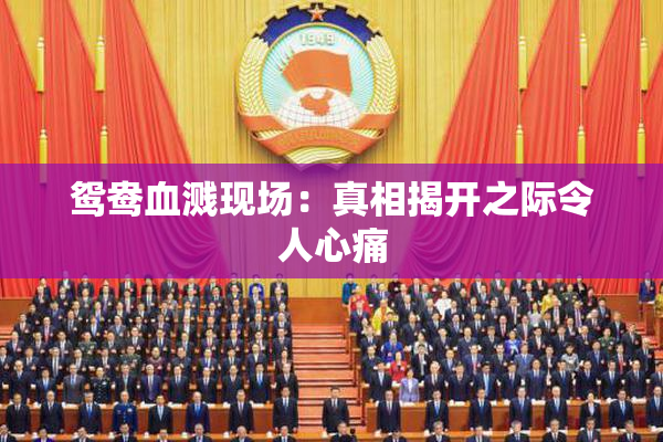 鸳鸯血溅现场：真相揭开之际令人心痛