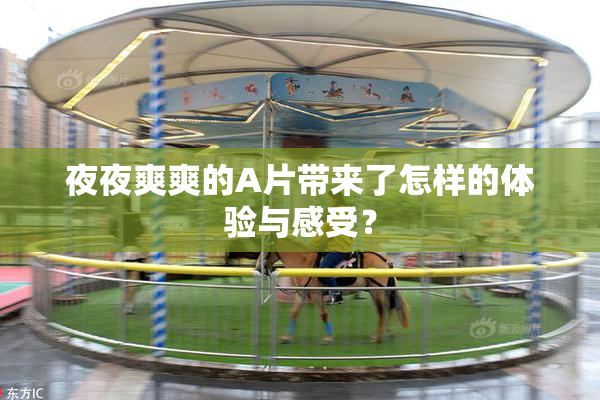 夜夜爽爽的A片带来了怎样的体验与感受？