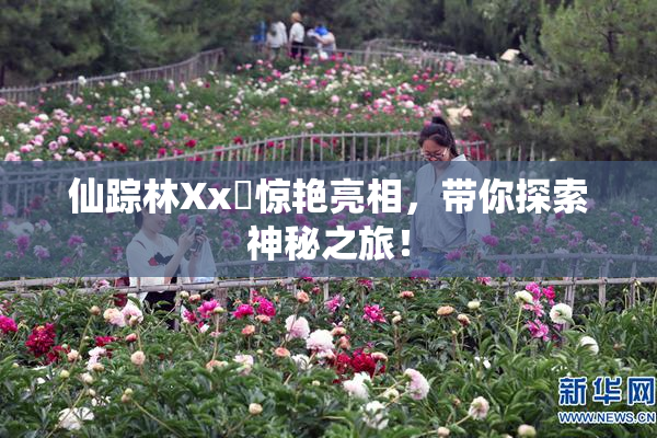 仙踪林Xx乂惊艳亮相，带你探索神秘之旅！
