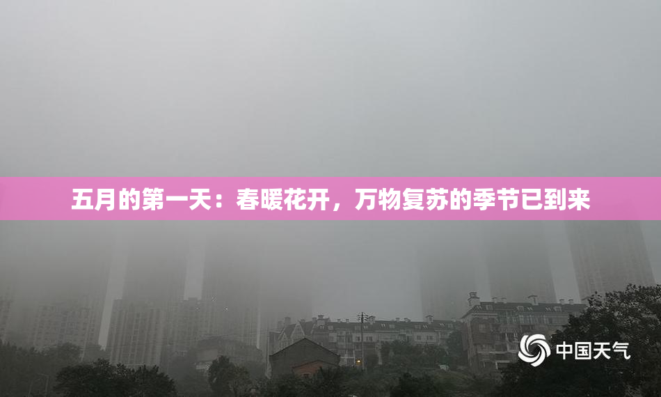 五月的第一天：春暖花开，万物复苏的季节已到来