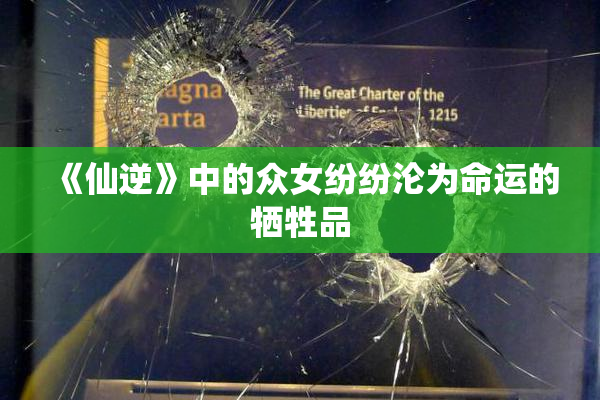 《仙逆》中的众女纷纷沦为命运的牺牲品