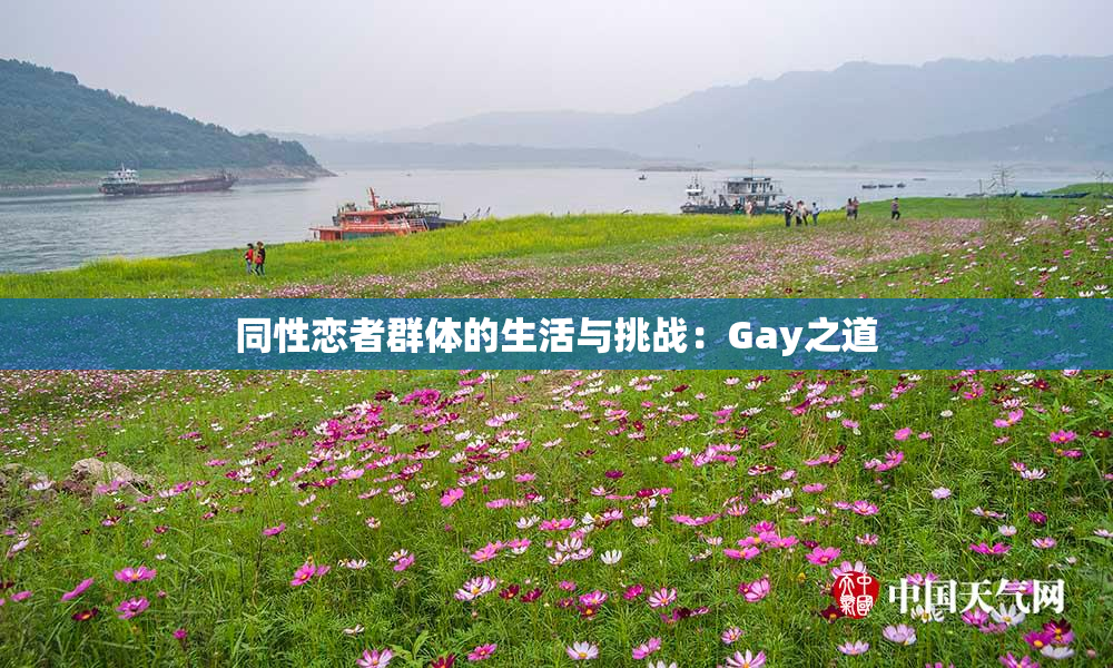 同性恋者群体的生活与挑战：Gay之道