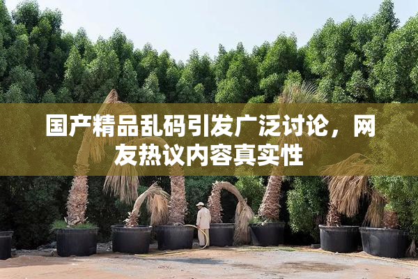 国产精品乱码引发广泛讨论，网友热议内容真实性