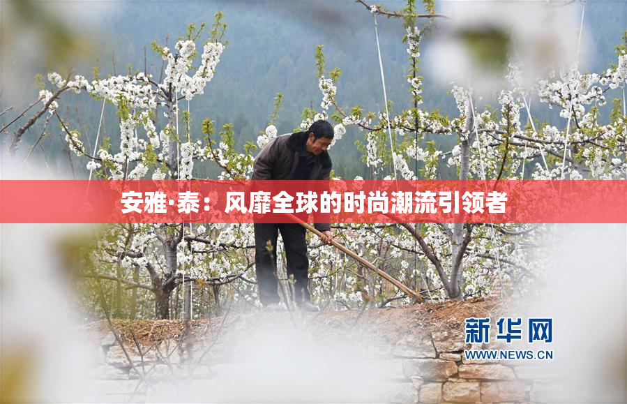安雅·泰：风靡全球的时尚潮流引领者