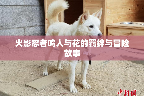 火影忍者鸣人与花的羁绊与冒险故事