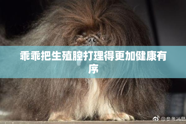 乖乖把生殖腔打理得更加健康有序