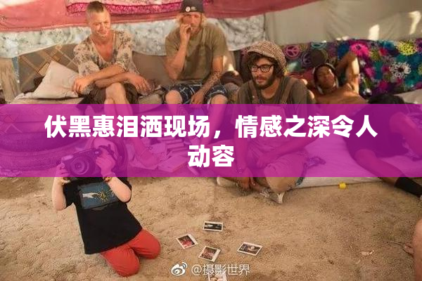 伏黑惠泪洒现场，情感之深令人动容