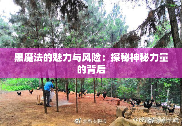 黑魔法的魅力与风险：探秘神秘力量的背后