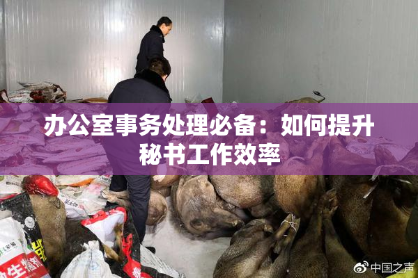 办公室事务处理必备：如何提升秘书工作效率