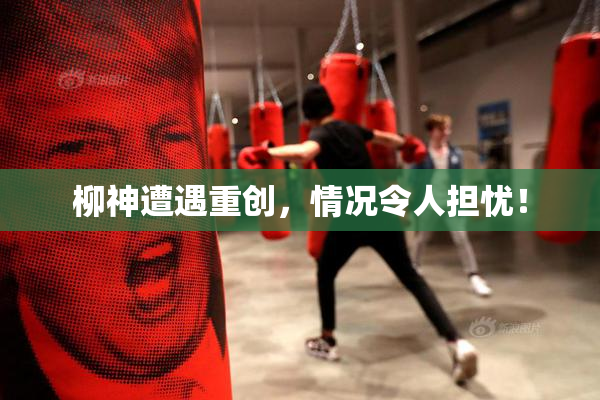 柳神遭遇重创，情况令人担忧！