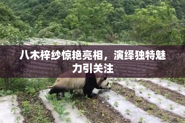 八木梓纱惊艳亮相，演绎独特魅力引关注