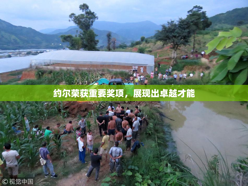约尔荣获重要奖项，展现出卓越才能