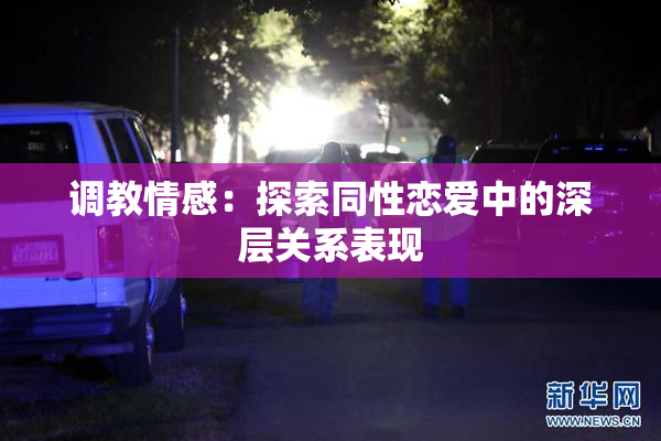 调教情感：探索同性恋爱中的深层关系表现
