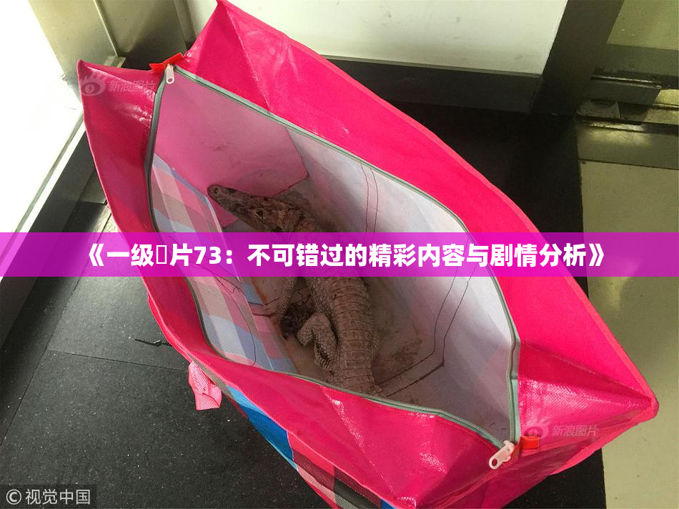 《一级婬片73：不可错过的精彩内容与剧情分析》