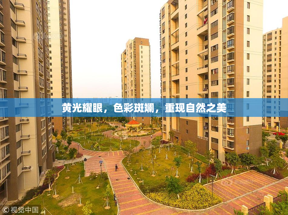 黄光耀眼，色彩斑斓，重现自然之美