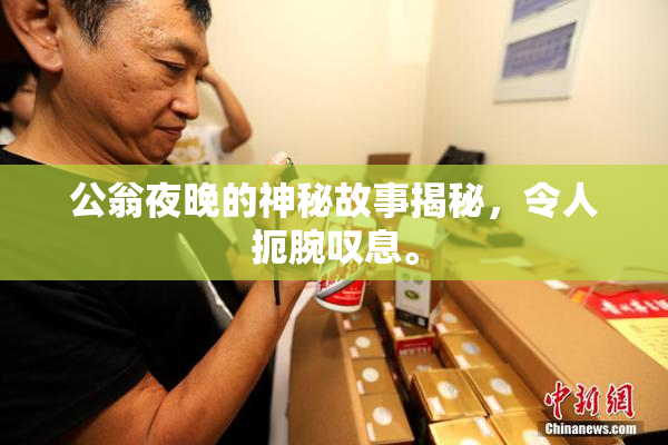 公翁夜晚的神秘故事揭秘，令人扼腕叹息。