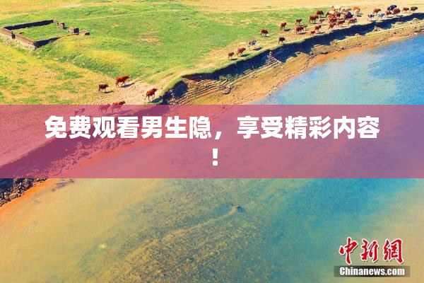 免费观看男生隐，享受精彩内容！